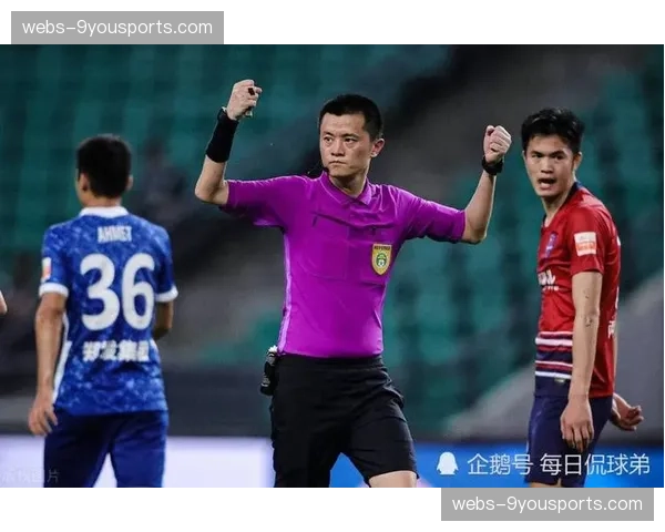 观点：季后赛裁判尺度引发争议，NHL执法标准是否过于宽松？